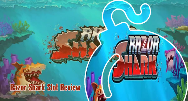Razor shark slot free