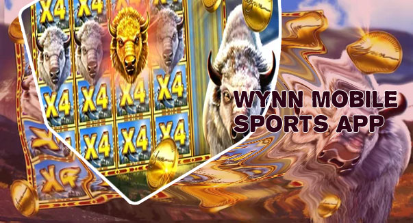 Wynn slots app